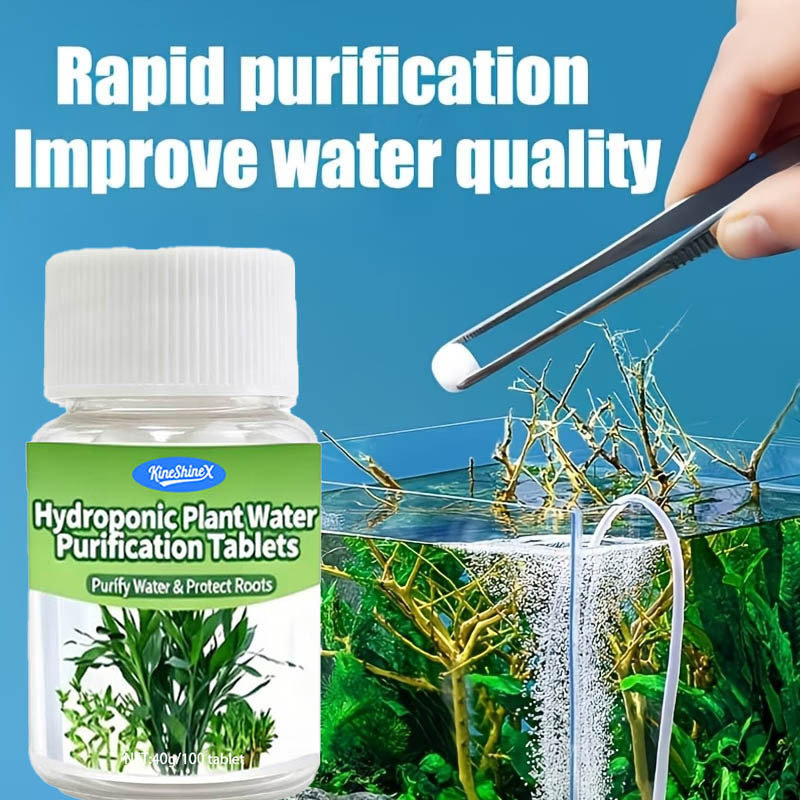Aquarium Plant In Pot - Compresse per la Purificazione dell'Acqua Idroponica