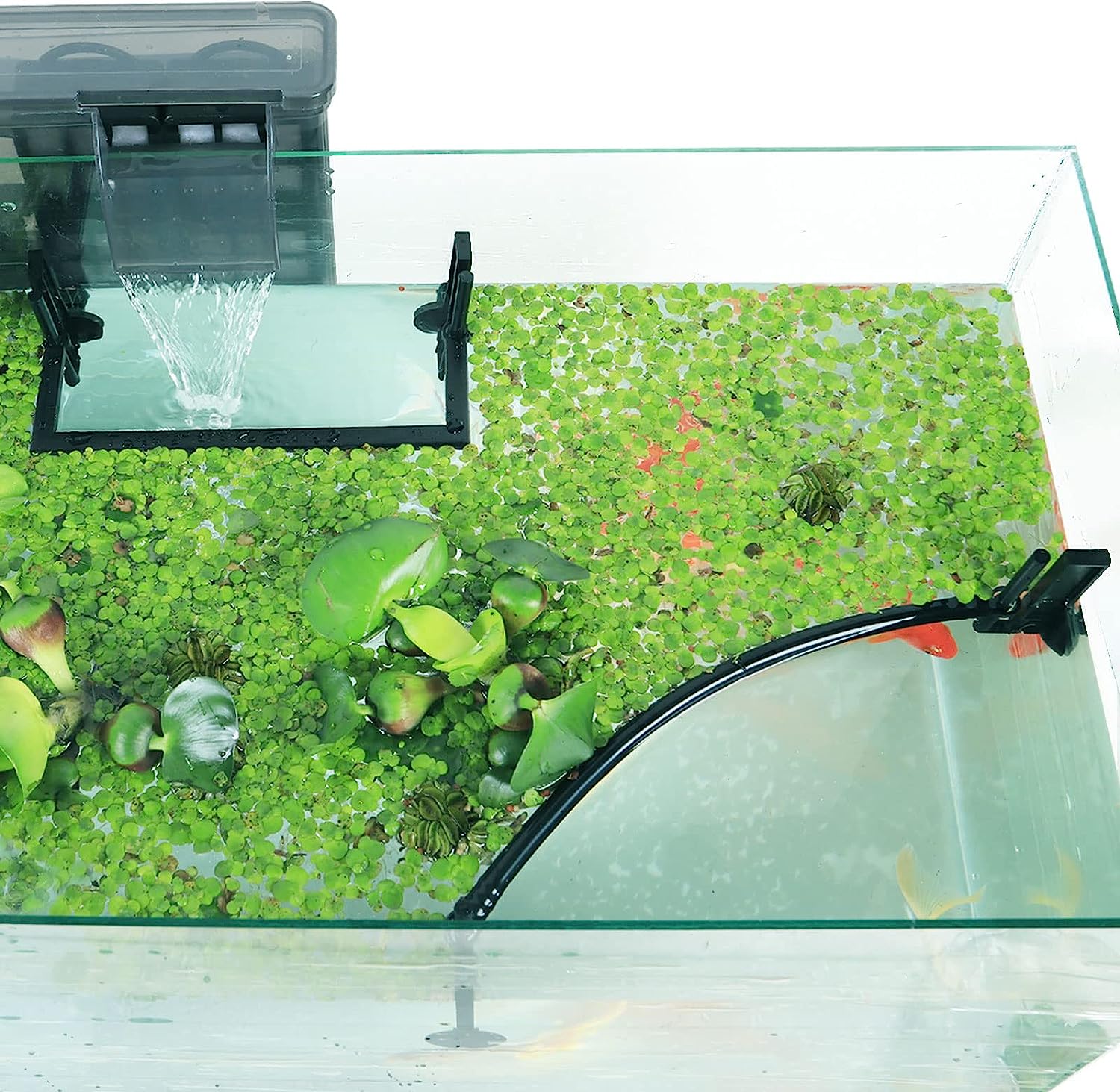 Planted Aquarium Heater - Corallo per piante galleggianti per acquari,
