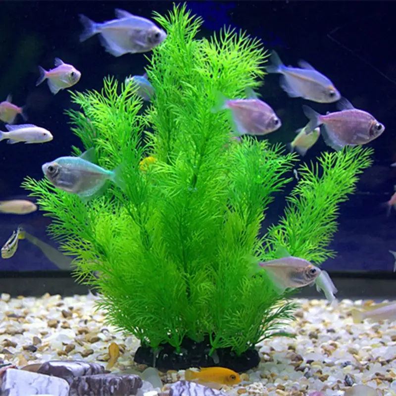 Aquarium Planted Substrate - Piante artificiali per decorazioni per acquari