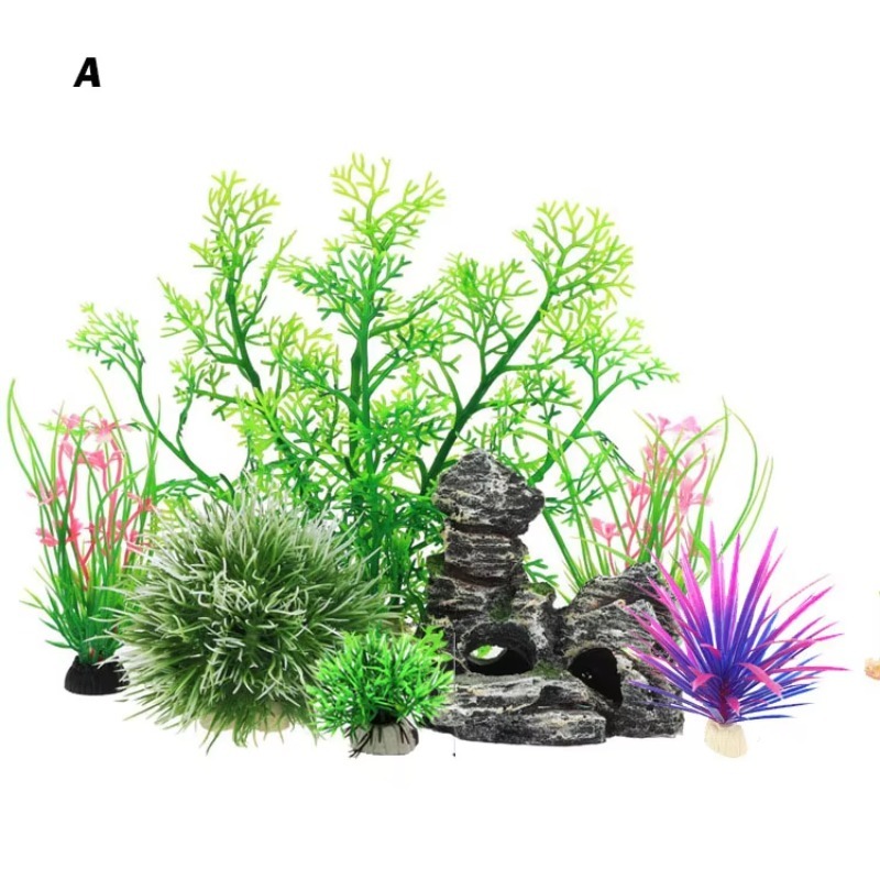 Planted Aquarium With Rocks - 10 Pezzi Nuovi Arrivi Piante e