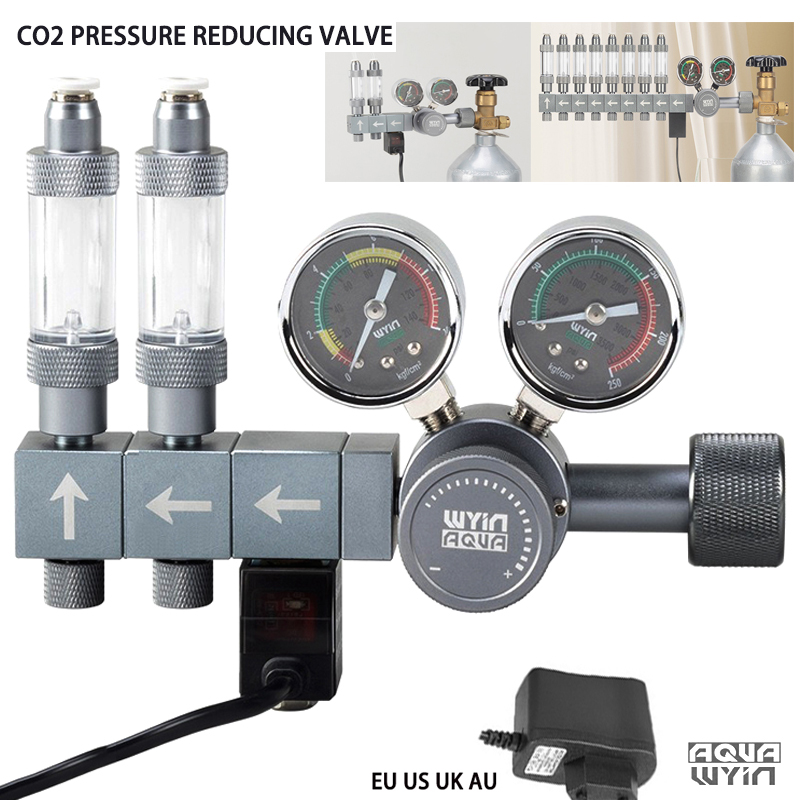 Co2 Regulator Dual Stage - Regolatore CO2 DIY per Acquario, Valvola