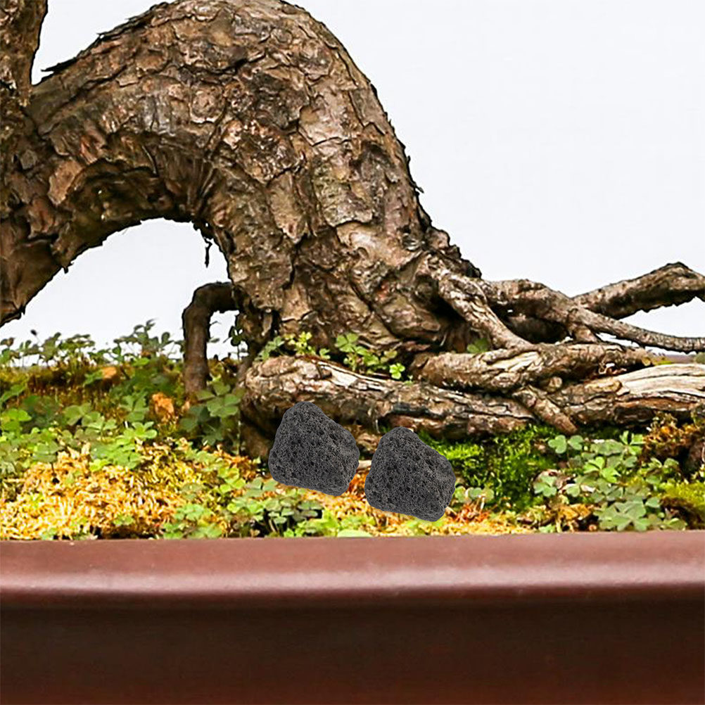 Planted Aquarium With Rocks - Rocce Vulcaniche Naturali per Acquario, Piccole