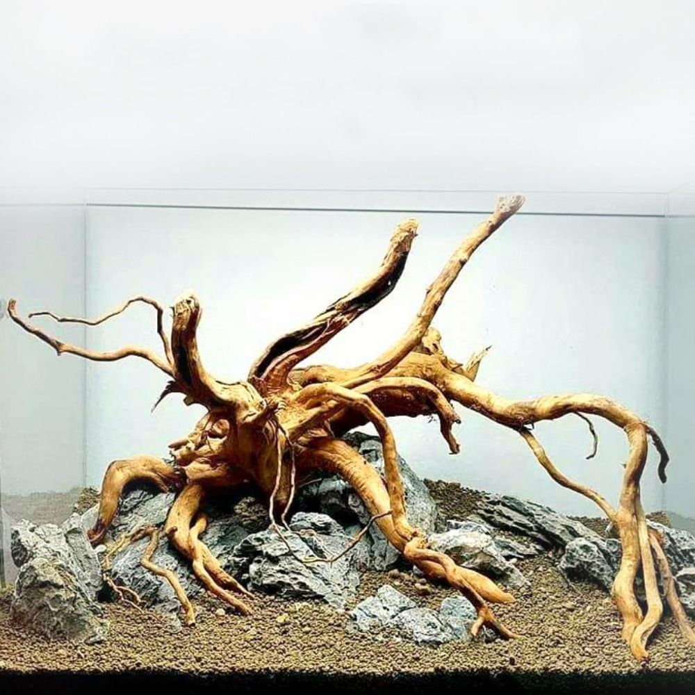 Aquarium Planted Substrate - Tronco d'albero naturale decorazione dell'acquario decorazione