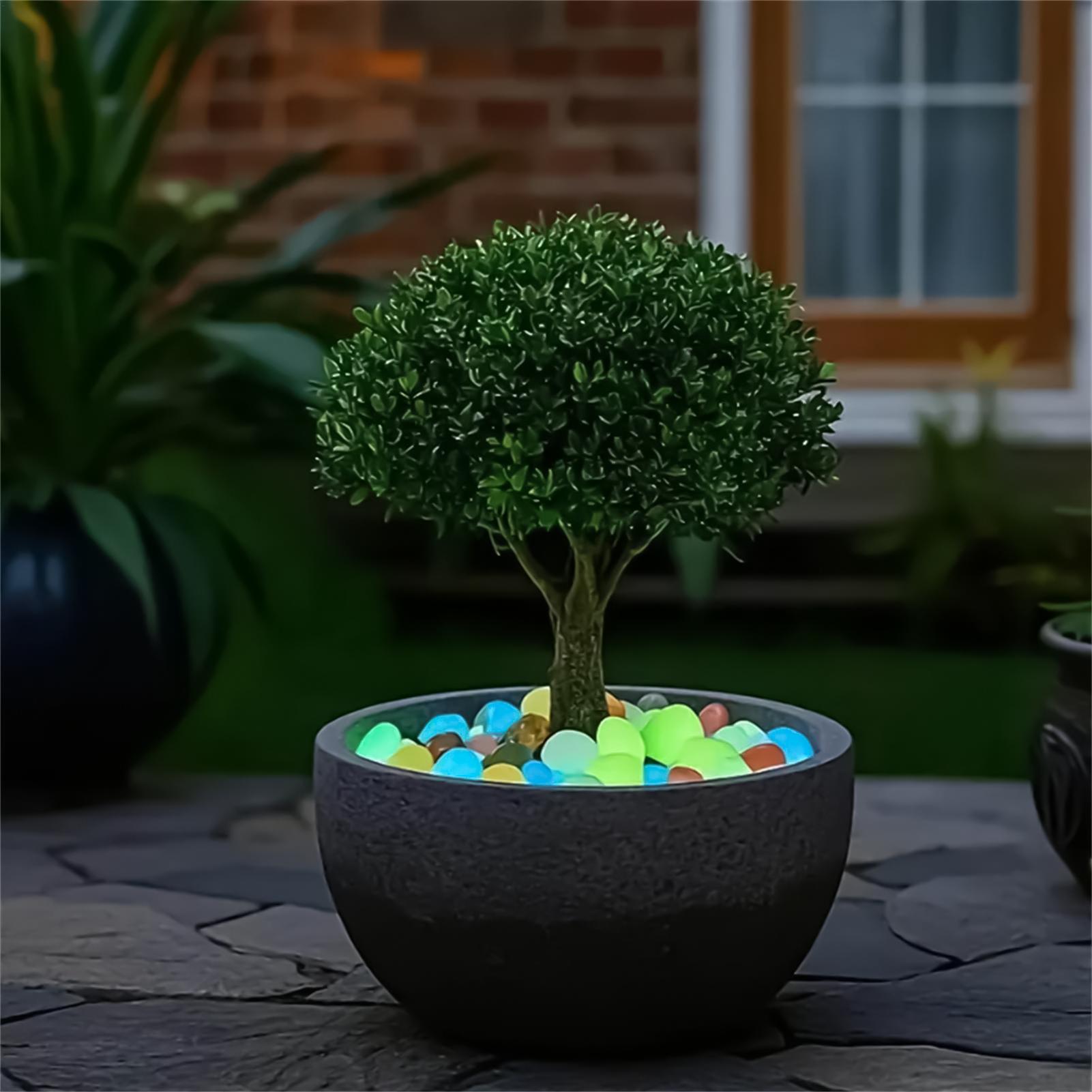 Planted Aquarium With Rocks - Set di 20 Pietre Decorative Luminose