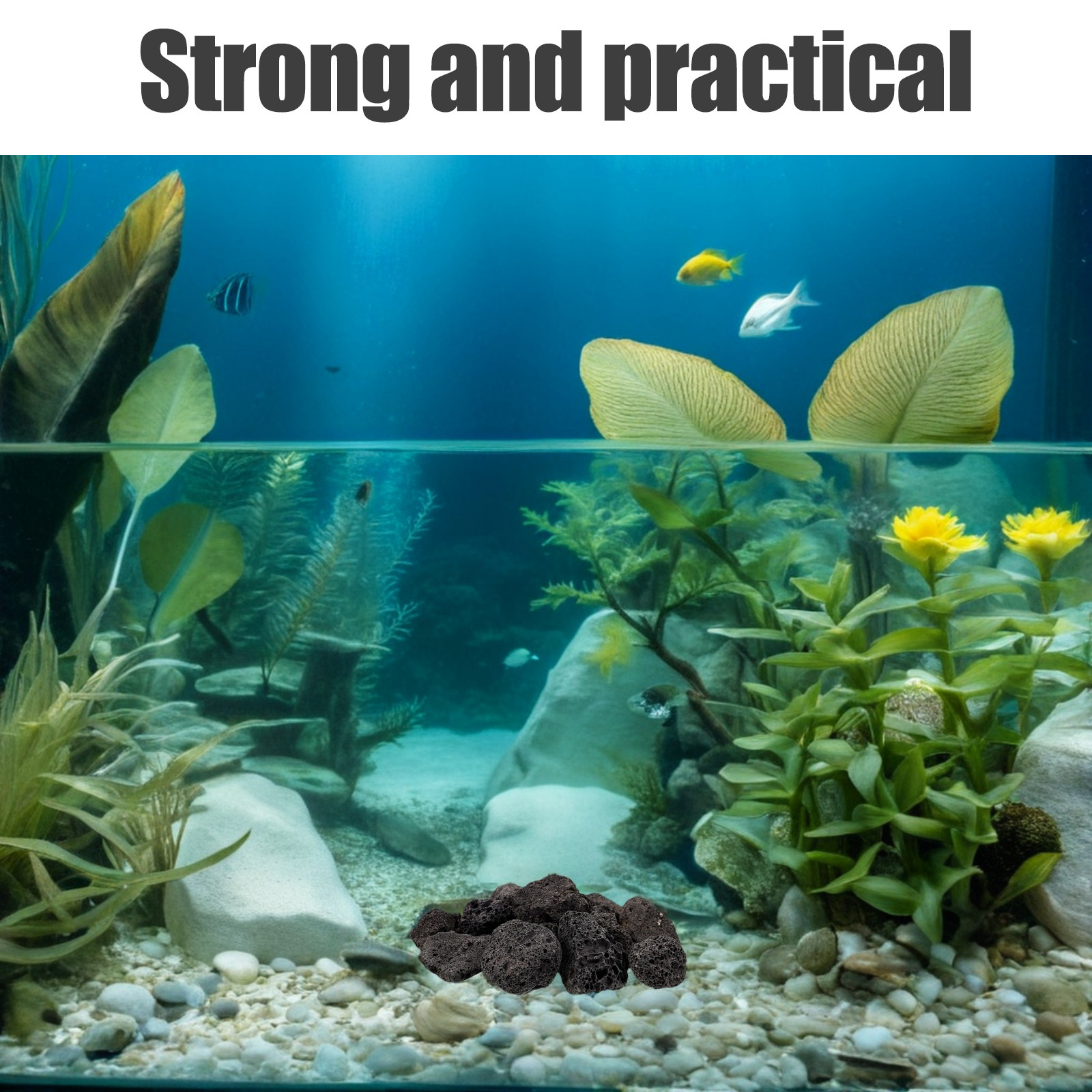 Planted Aquarium With Rocks - 1 Confezione di Rocce Decorative in