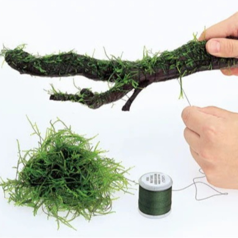 Planted Aquarium With Rocks - Filo di Muschio Biodegradabile per Acquario