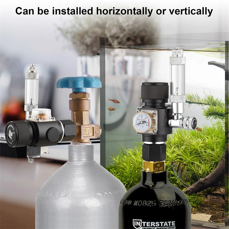 Co2 Regulator Dual Stage - Fzone Mini Dual Stage regolatore di