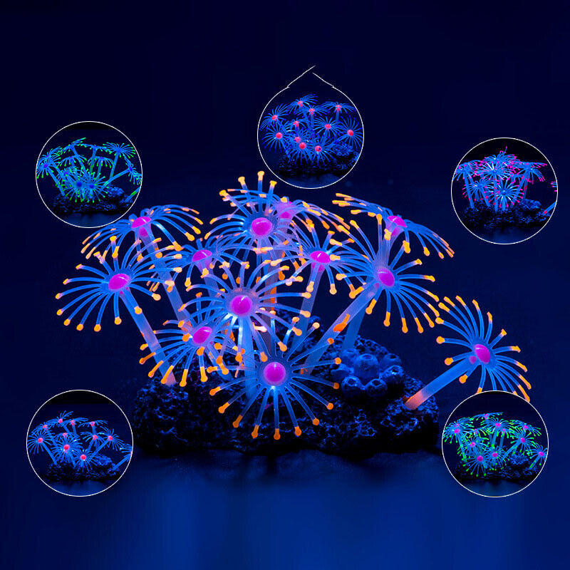 Decorazioni Subacquee in Silic - Aquarium Planted Substrate recensione e prezzo