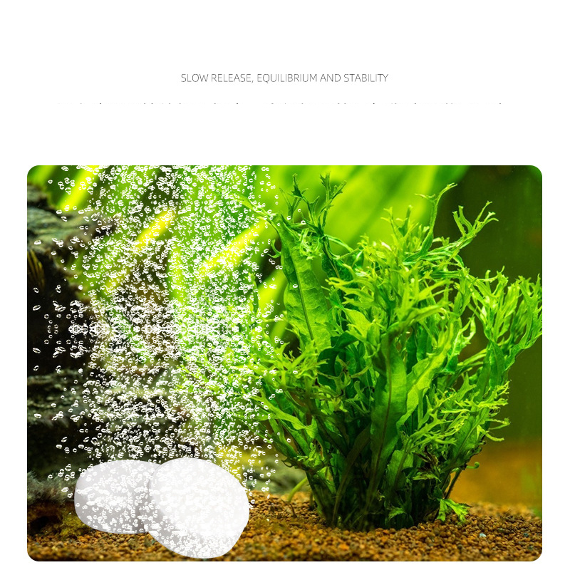 ISTA Fish Tank Aquarium CO2 Ta - Planted Aquarium Without Co2 recensione e prezzo