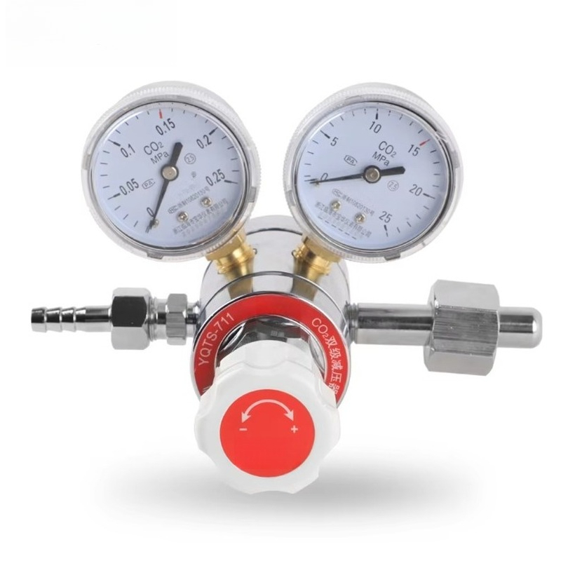 Regolatore di CO2 a doppio sta - Co2 Regulator Dual Stage recensione e prezzo