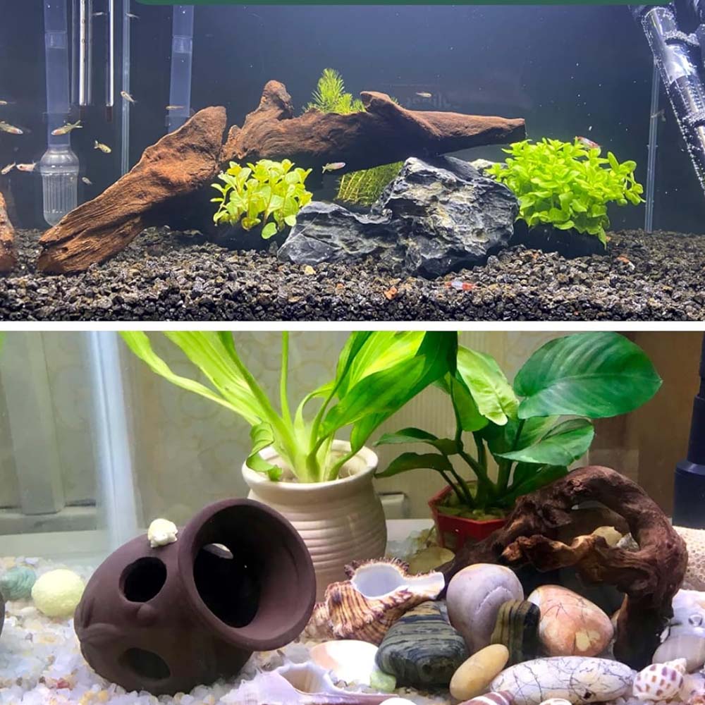 3 pezzi ﻿ Set di legni alla de - Aquarium Planted Substrate recensione e prezzo