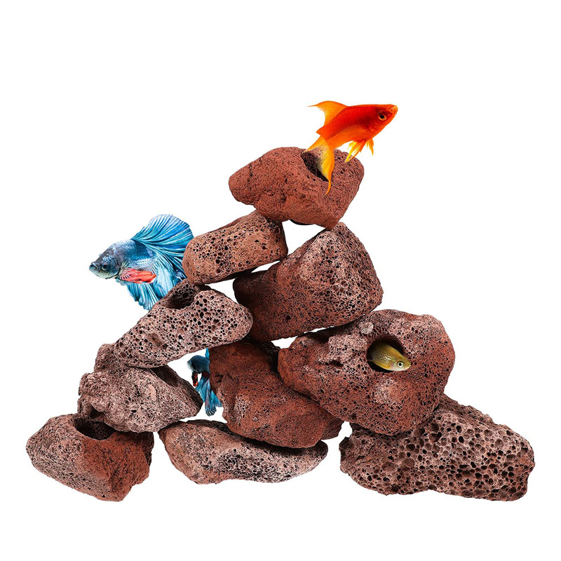 Foro aperto Roccia Pesce Gambe - Planted Aquarium With Rocks recensione e prezzo