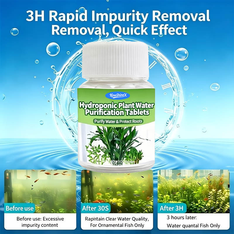 Compresse per la Purificazione - Aquarium Plant In Pot recensione e prezzo