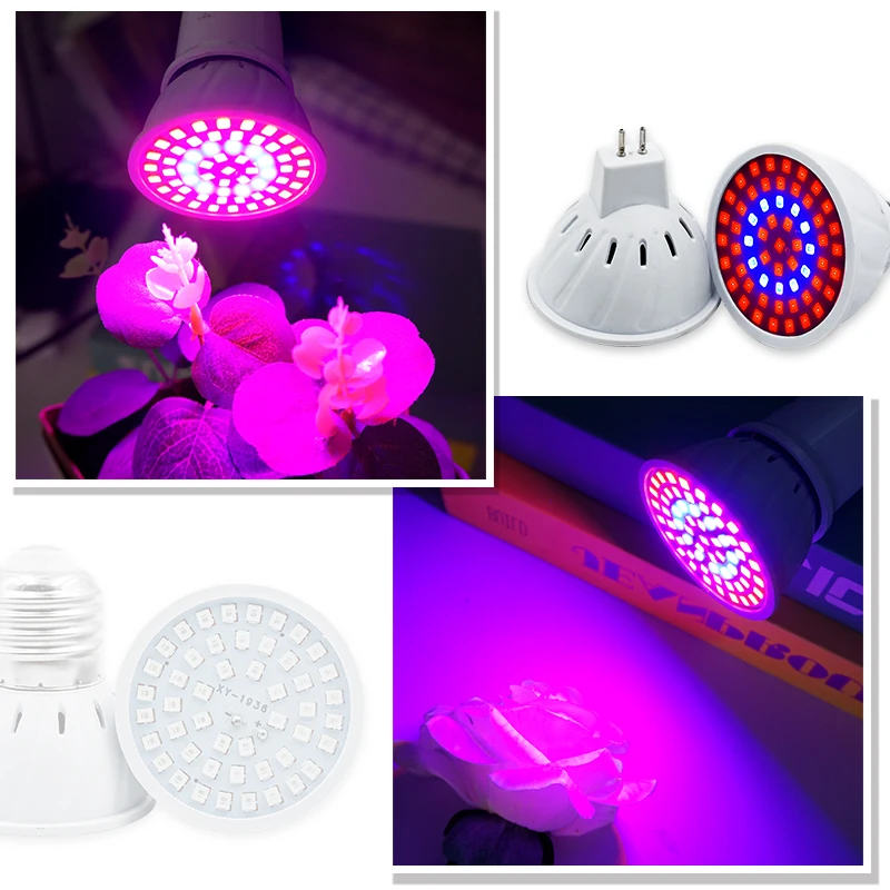 Phyto Lampada Spettro Completo - Led Planted Tank Light recensione e prezzo