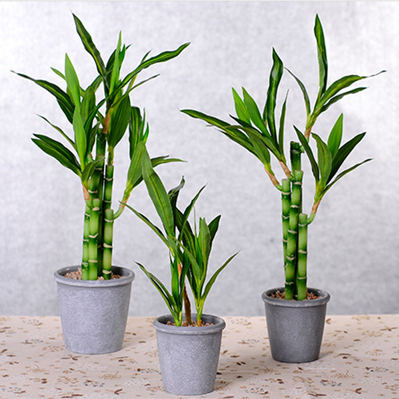 Nuovo 40 cm rFtificial Lucky B - Aquarium Plant In Pot recensione e prezzo