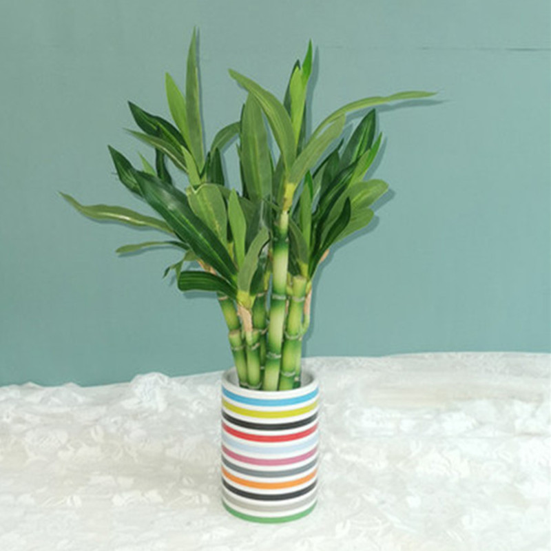 Nuovo 40 cm rFtificial Lucky B - Aquarium Plant In Pot recensione e prezzo
