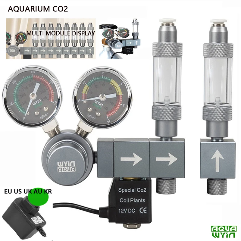 Regolatore CO2 per Acquario co - Co2 Regulator Dual Stage recensione e prezzo