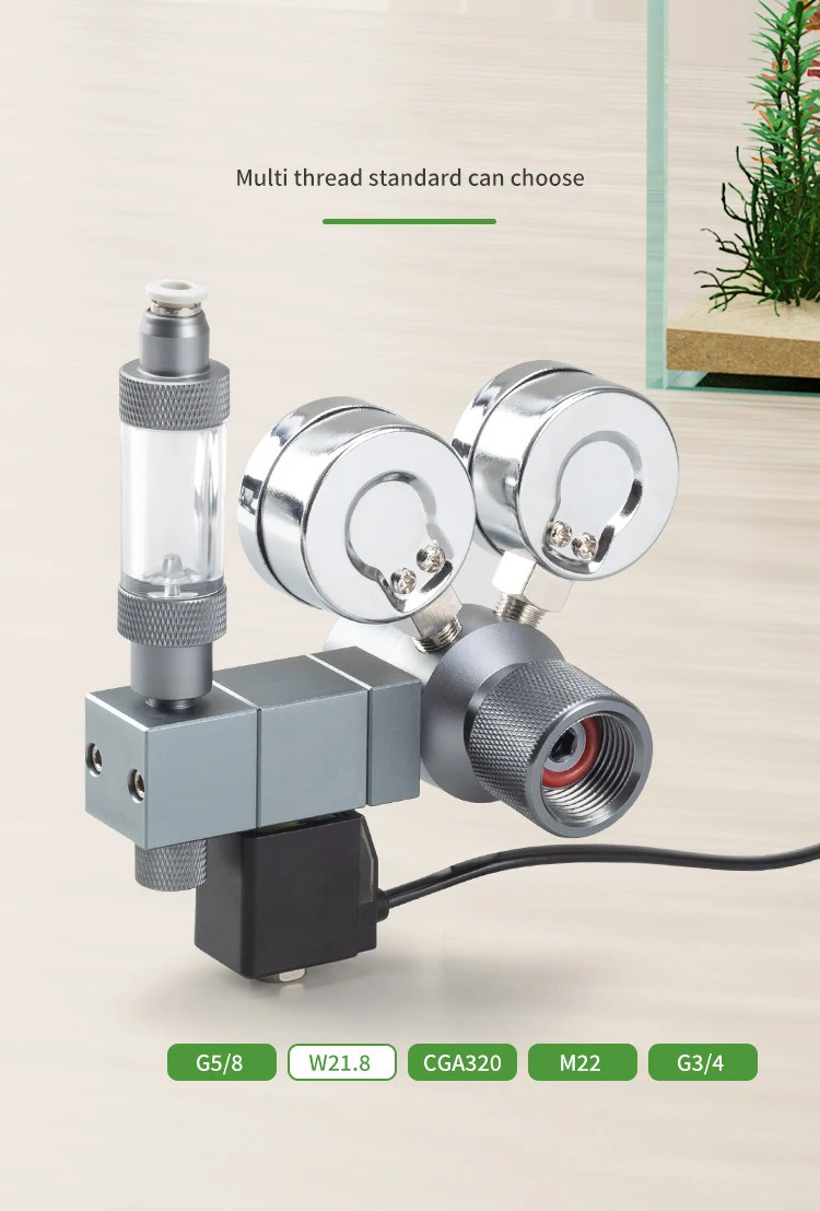 Regolatore CO2 per Acquario co - Co2 Regulator Dual Stage recensione e prezzo