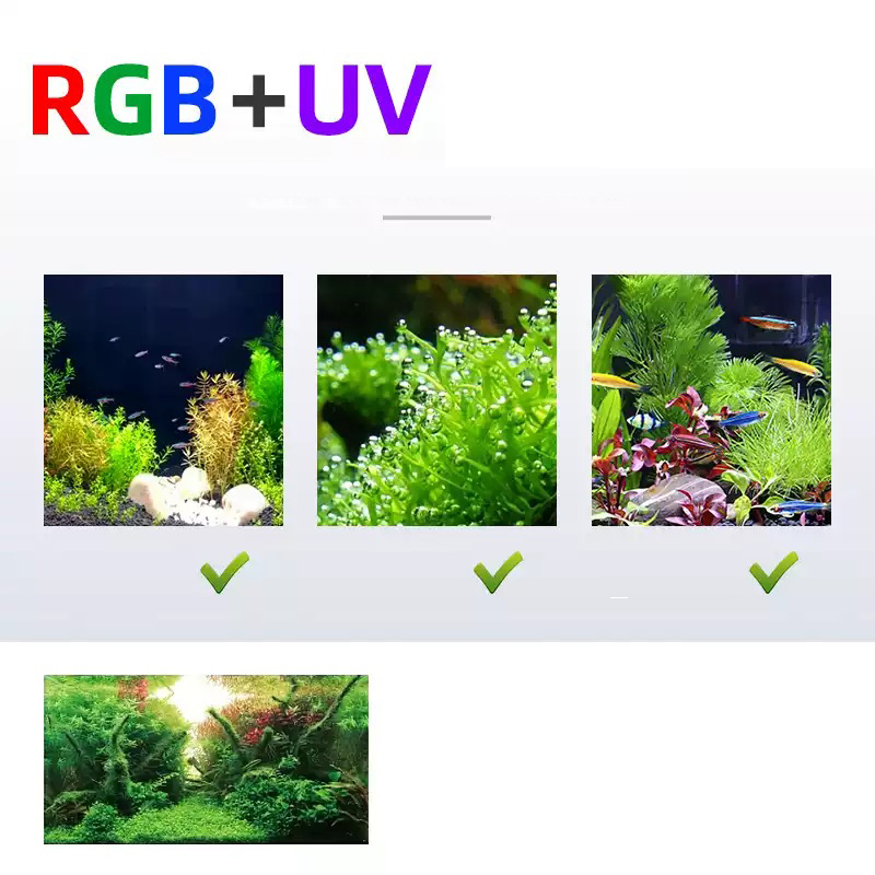 Settimana Aqua Serie L WRGB UV - Planted Aquarium Accessories recensione e prezzo