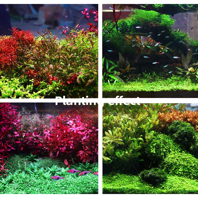 SYSENCIAGA Substrato per acqua - Aquarium Planted Substrate recensione e prezzo