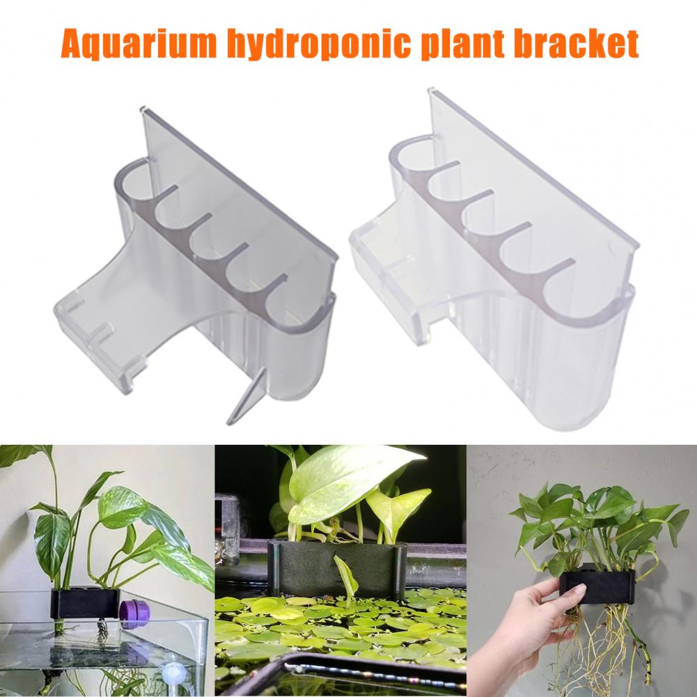 4.5/6.5 centimetri Acquario Pi - Aquarium Plant In Pot recensione e prezzo