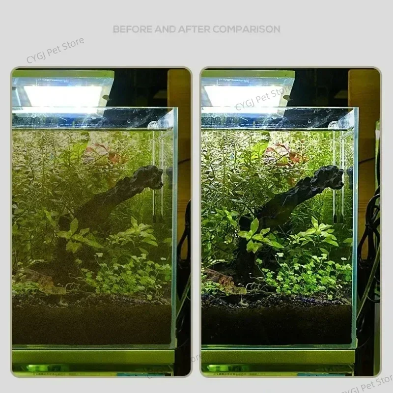 Strumento per la pulizia dell' - Planted Aquarium Accessories recensione e prezzo