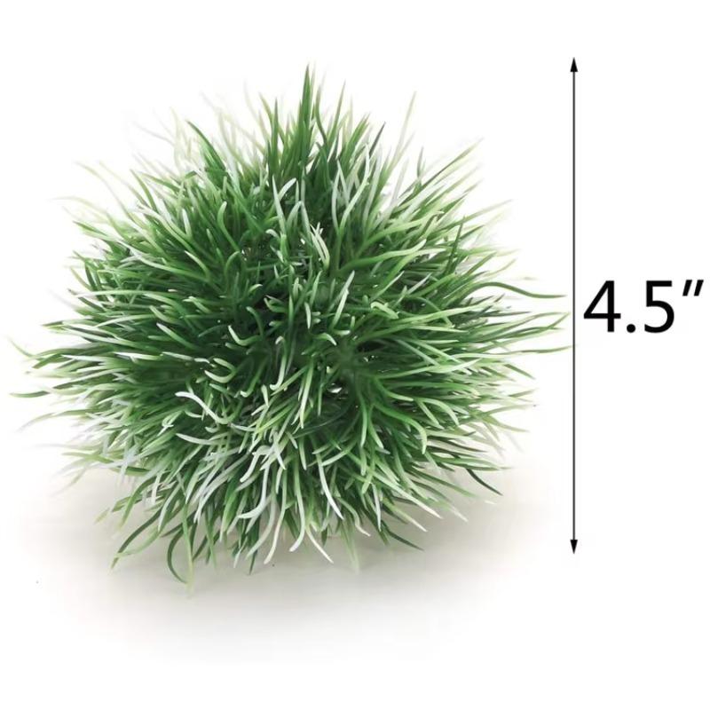 10 Pezzi Nuovi Arrivi Piante e - Planted Aquarium With Rocks recensione e prezzo
