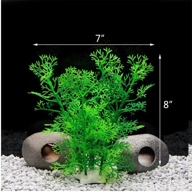 10 Pezzi Nuovi Arrivi Piante e - Planted Aquarium With Rocks recensione e prezzo