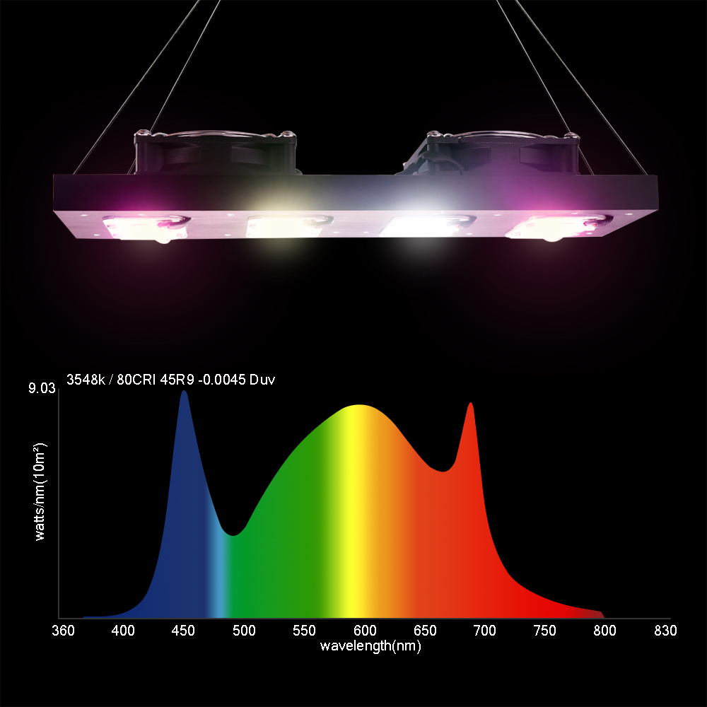 LED Pianta Coltiva La Luce 100 - Led Planted Tank Light recensione e prezzo