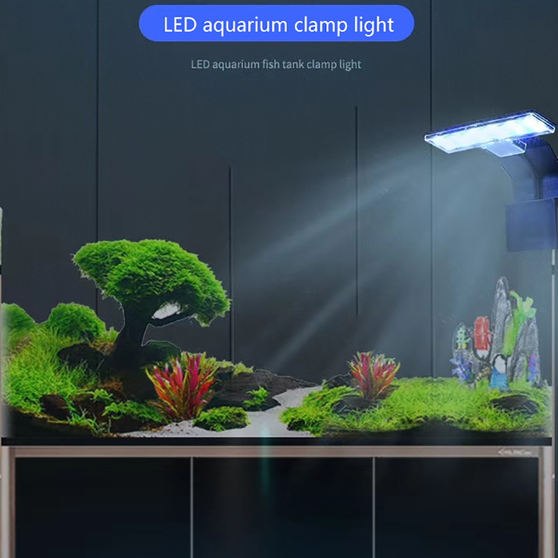 【Novità】Nuova Lampada LED Impe - Led Planted Tank Light recensione e prezzo