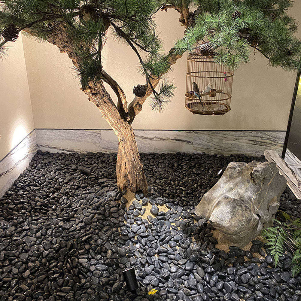 1 Set di Ciottoli per Acquario - Planted Aquarium With Rocks recensione e prezzo