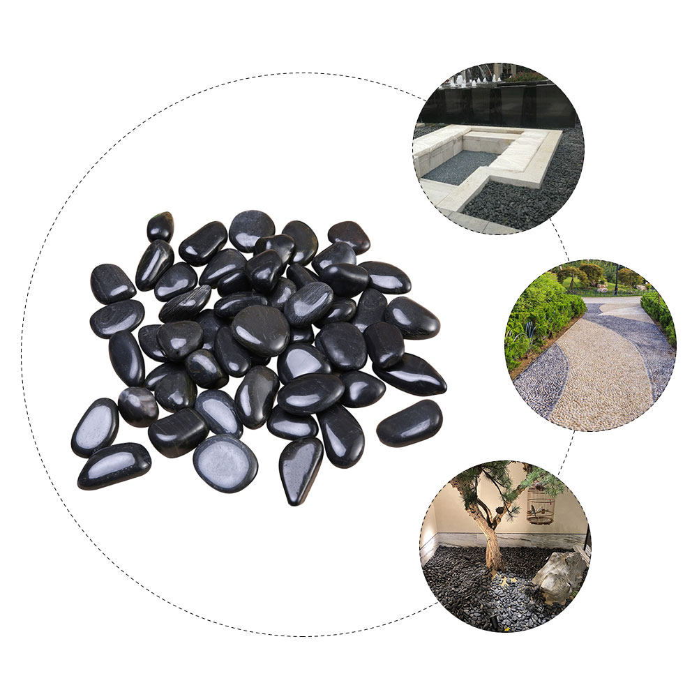 1 Set di Ciottoli per Acquario - Planted Aquarium With Rocks recensione e prezzo
