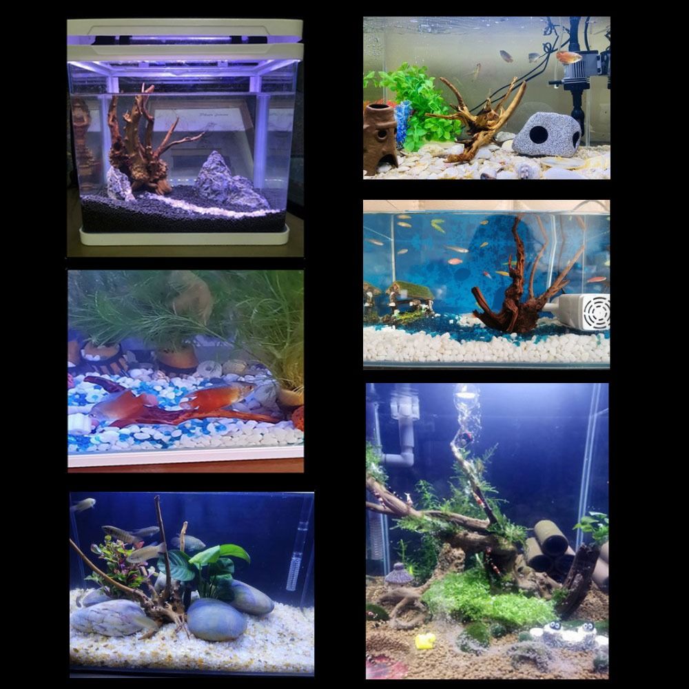 Tronco d'albero naturale decor - Aquarium Planted Substrate recensione e prezzo