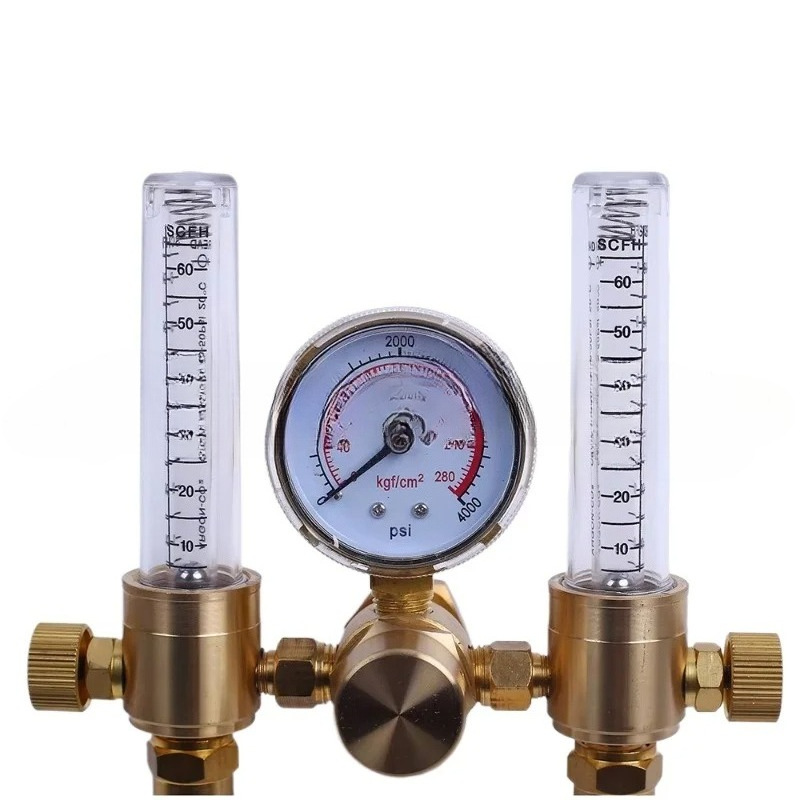 Regolatore di Pressione del Ga - Co2 Regulator Dual Stage recensione e prezzo