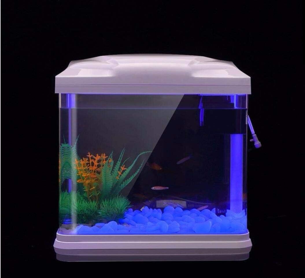 Rocce per acquari che si illum - Aquarium Plant In Pot recensione e prezzo