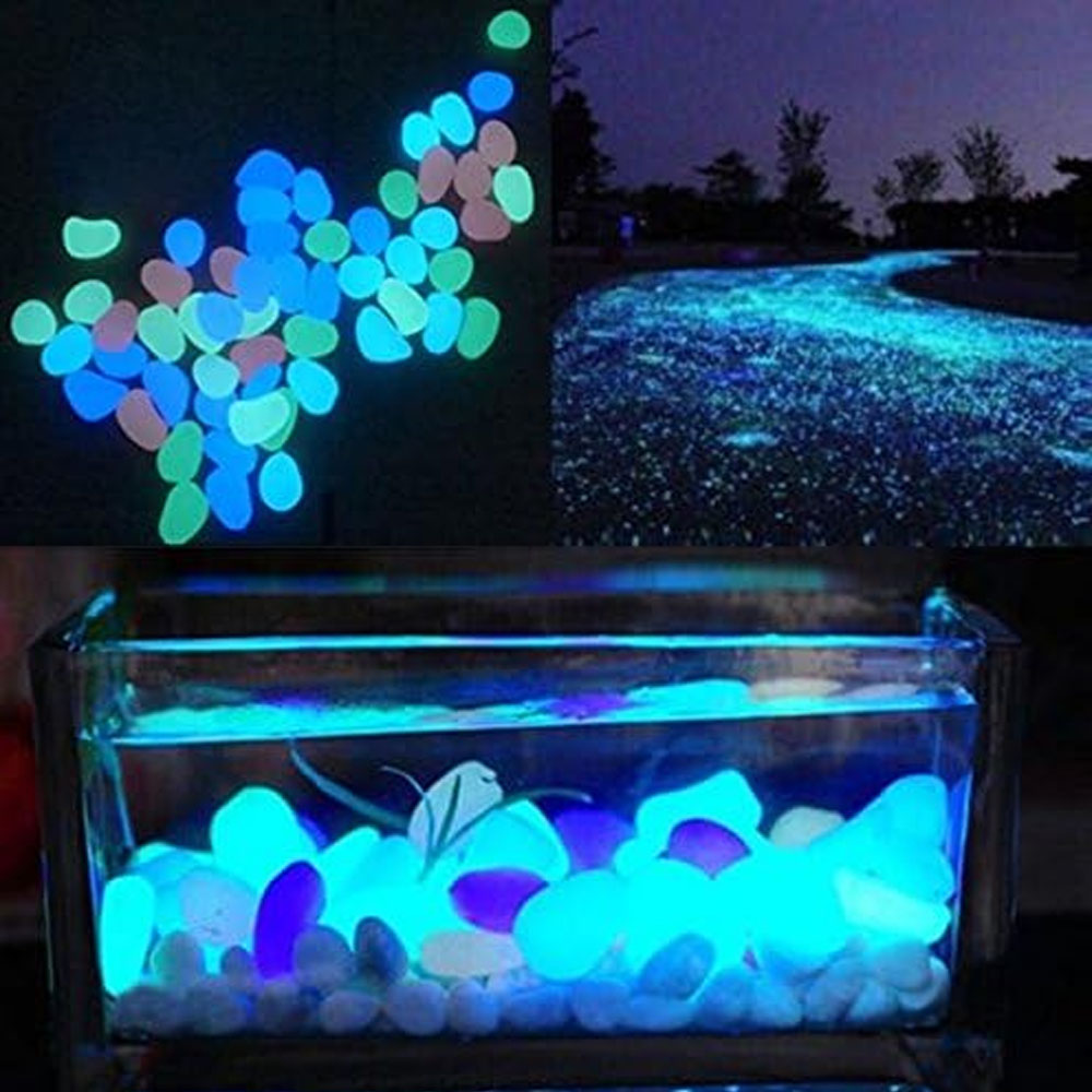 Rocce per acquari che si illum - Aquarium Plant In Pot recensione e prezzo