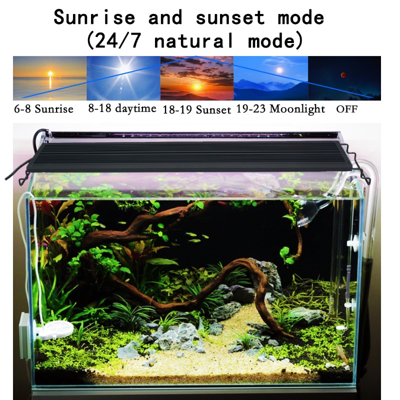 Lampada LED per Acquario a Spe - Led Planted Tank Light recensione e prezzo