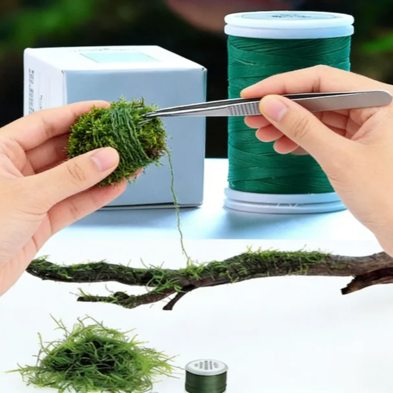 Filo di Muschio Biodegradabile - Planted Aquarium With Rocks recensione e prezzo