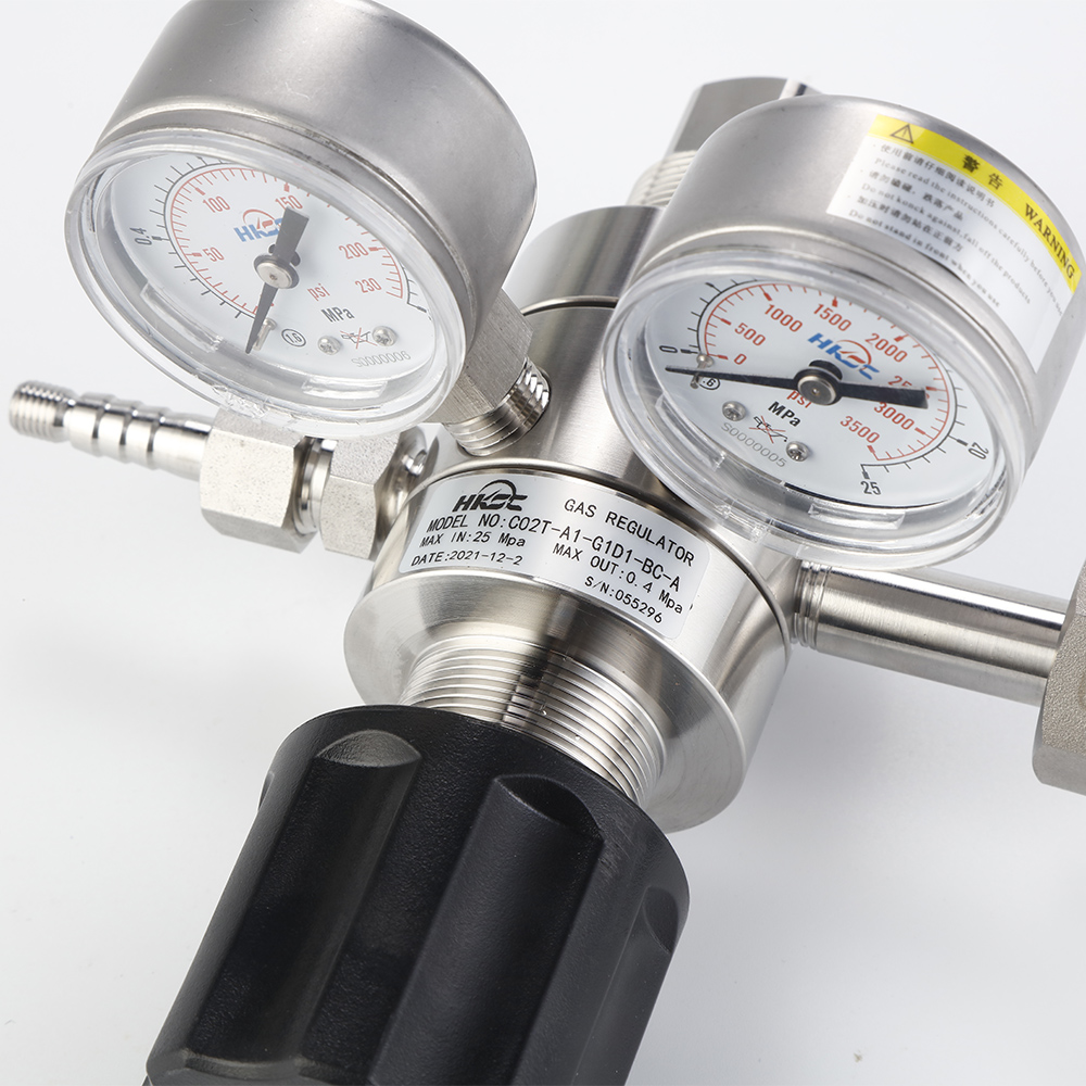 Regolatore CO2 HC02T con doppi - Co2 Regulator Dual Stage recensione e prezzo