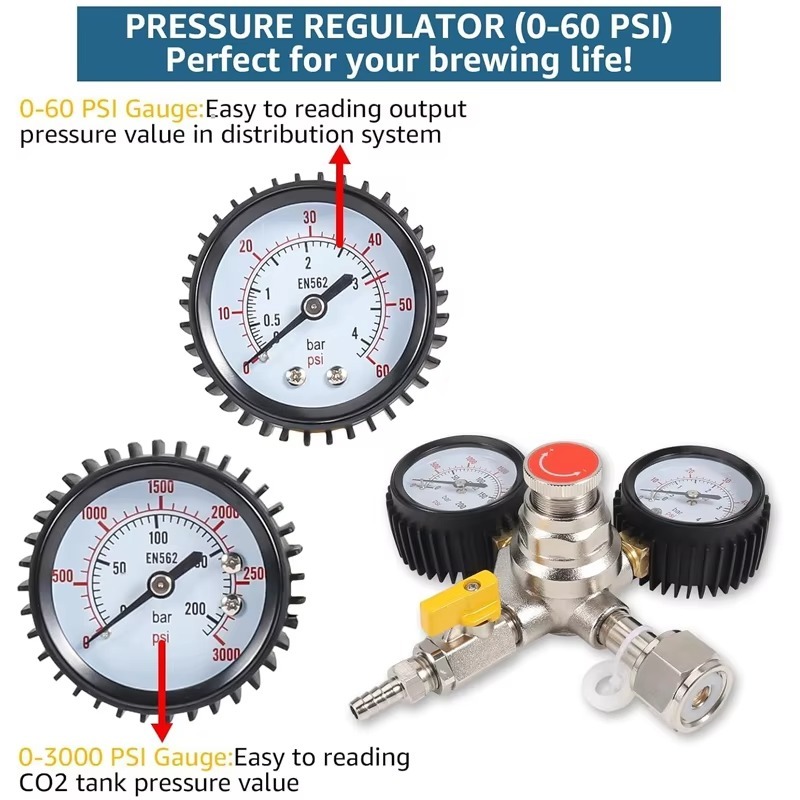Regolatore CO2 per Birra alla  - Co2 Regulator Dual Stage recensione e prezzo