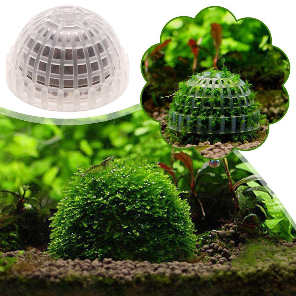 1-5 Pezzi Piante Decorative pe - Aquarium Plant Red recensione e prezzo