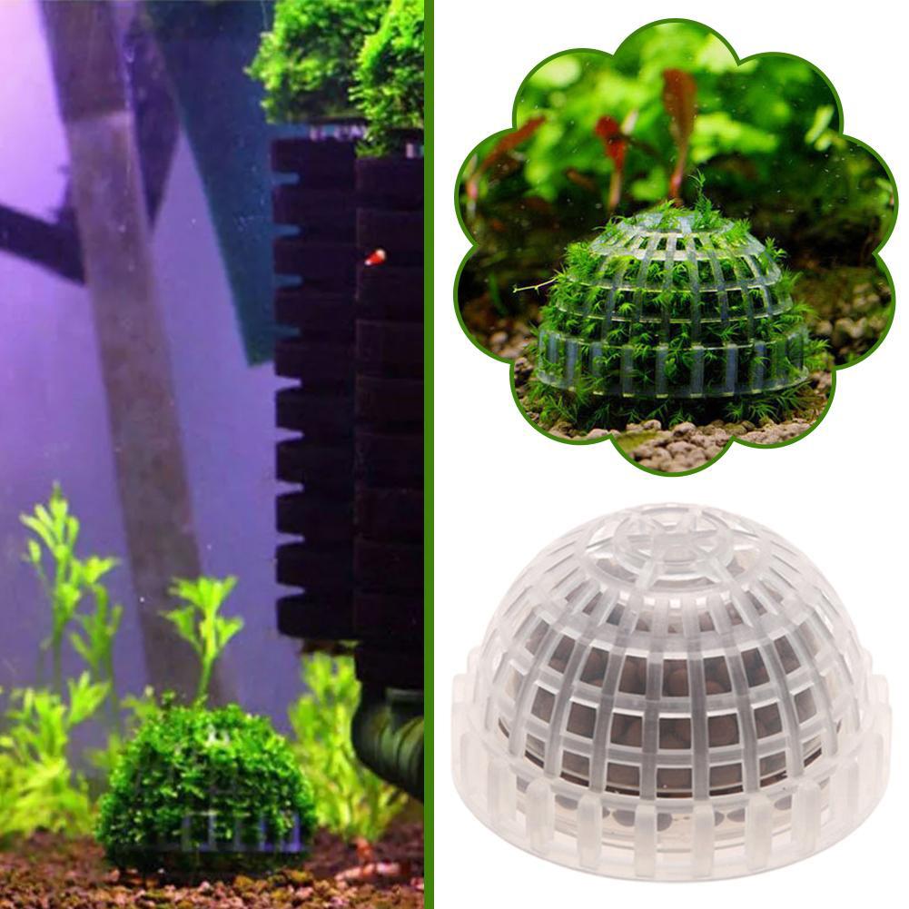 1-5 Pezzi Piante Decorative pe - Aquarium Plant Red recensione e prezzo