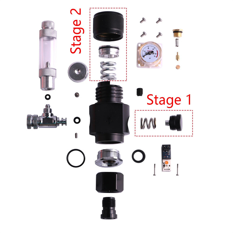Fzone Mini Dual Stage regolato - Co2 Regulator Dual Stage recensione e prezzo