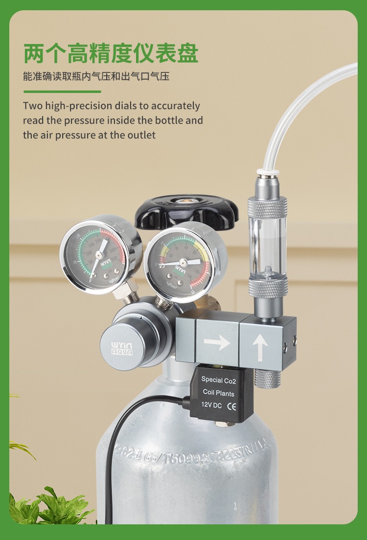 Regolatore CO2 per Acquario co - Co2 Regulator Dual Stage recensione e prezzo