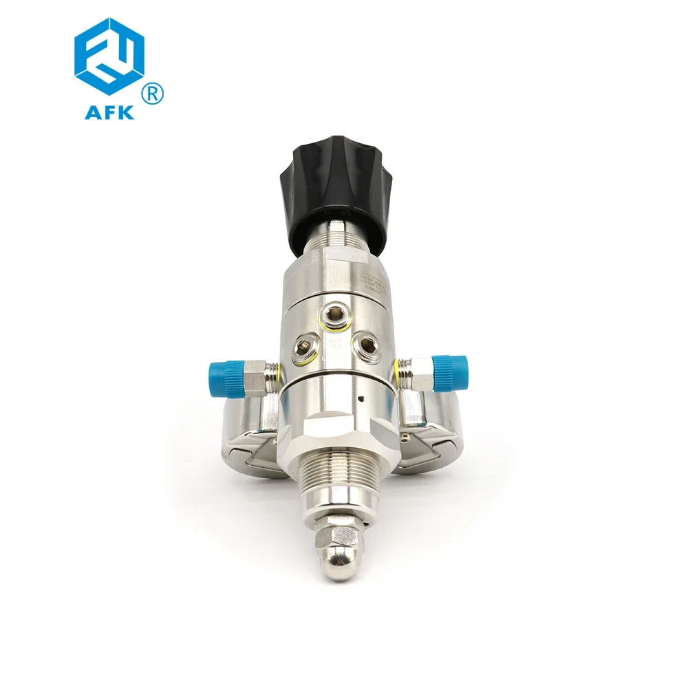Valvole di regolazione ad alta - Co2 Regulator Dual Stage recensione e prezzo