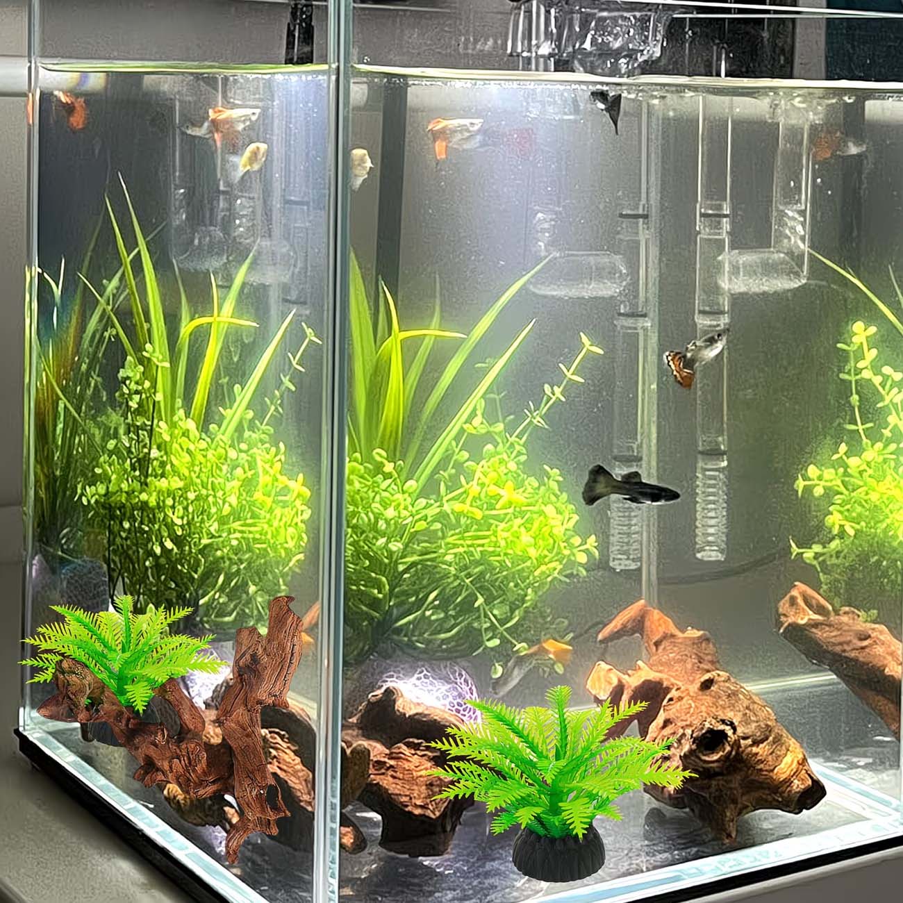 Legno Naturale Affondabile da  - Aquarium Planted Substrate recensione e prezzo