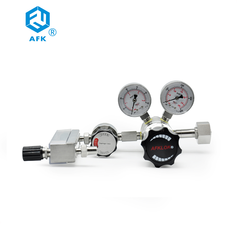 Regolatore di Pressione del Ga - Co2 Regulator Dual Stage recensione e prezzo