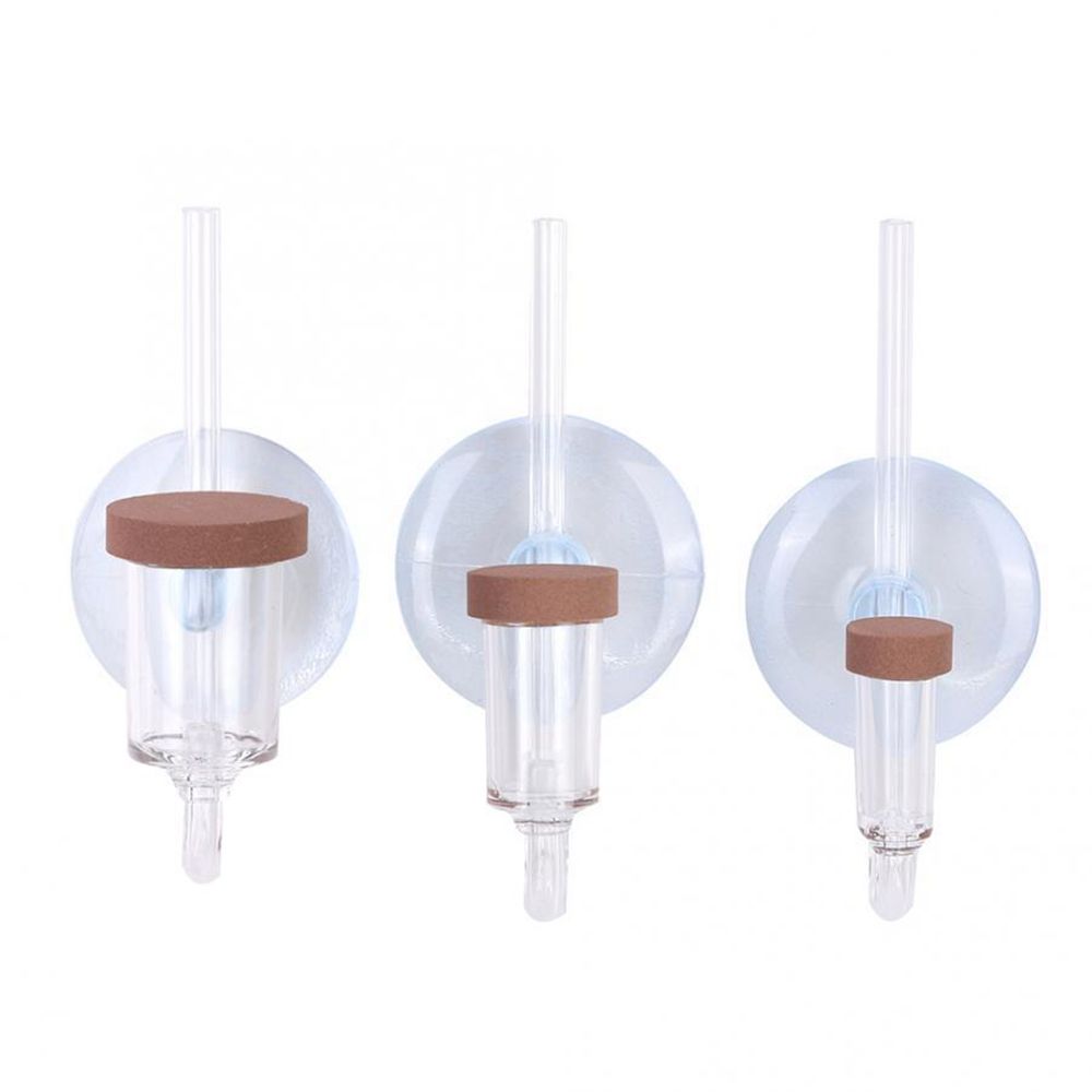 Mini acquario acrilico Pianta  - Planted Aquarium Accessories recensione e prezzo