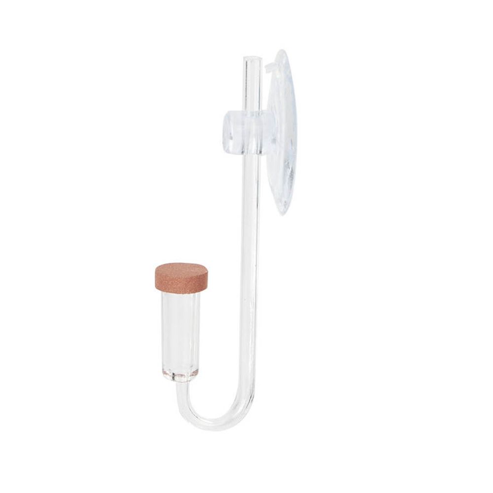 Mini acquario acrilico Pianta  - Planted Aquarium Accessories recensione e prezzo
