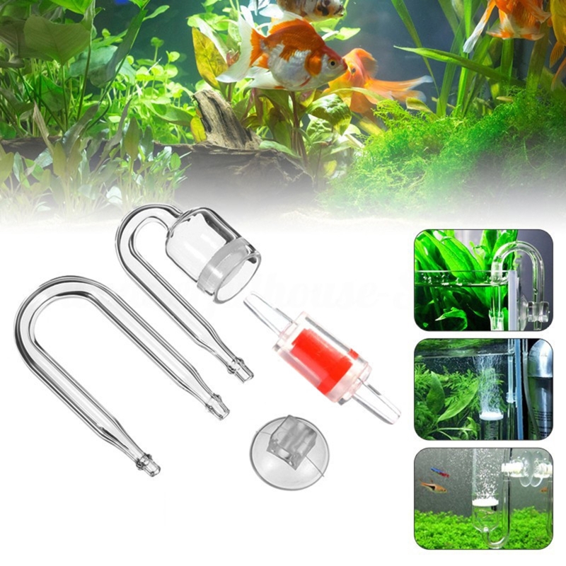 Set da 4 pezzi diffusore di CO - Aquarium Plant In Pot recensione e prezzo